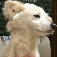 きゅーちゃん