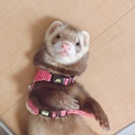 ご応募くださった方ありがとうございましたっ