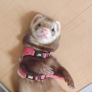 ご応募くださった方ありがとうございましたっ