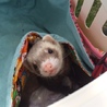 ご応募くださった方ありがとうございましたっ サムネイル3