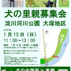 【淀川河川公園】犬の里親募集会 サムネイル1