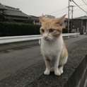 ずっとのお家が見つかりました！！
