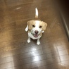の写真