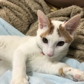 6ヶ月 仲良し兄妹