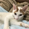 6ヶ月 仲良し兄妹 サムネイル1