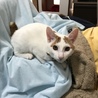 6ヶ月 仲良し兄妹 サムネイル3