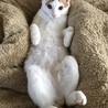 6ヶ月 仲良し兄妹 サムネイル4