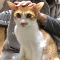 ありがとうございました！新井町た5兄弟