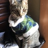 暖かいらしくお気に入り(^○^)
