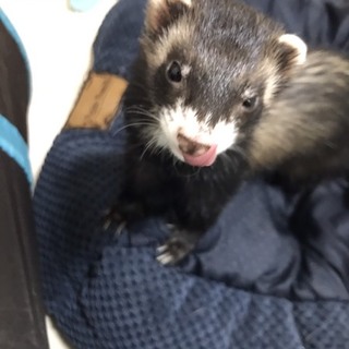 おっとりした男の子です。