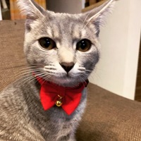 ベル