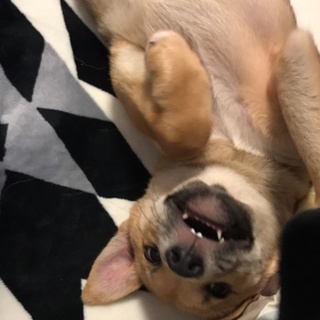 元気いっぱい！イケメン男子です！