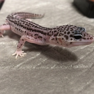 沢山のメッセージありがとうございました！