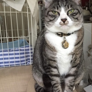 里親募集致します！