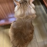 の写真