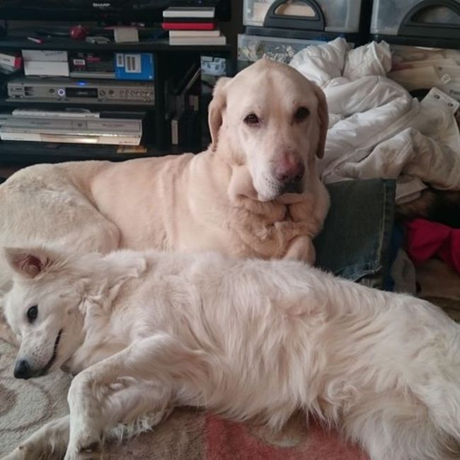 K.難波のカバー写真