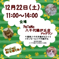 ふくねこや PeTeMo八千代緑が丘店里親会