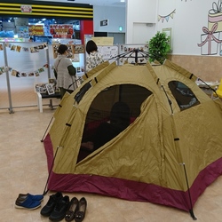 ふくねこや PeTeMo八千代緑が丘店里親会 サムネイル2