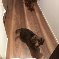 サラとミル