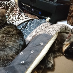 「☔の日(๑´∀`๑)」サムネイル1