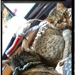 「☔の日(๑´∀`๑)」サムネイル2