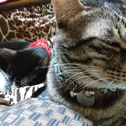 「☔の日(๑´∀`๑)」サムネイル3