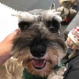 とても元気で遊び好きな男の子♪