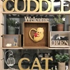 Cuddle Cat  カドル キャット