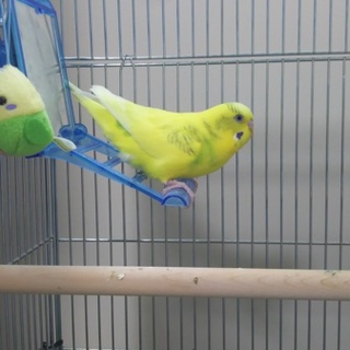 安心して預けられる里親様に出会えました