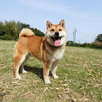 ケンスケ
