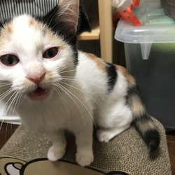 甘えん坊さん(〃ω〃)