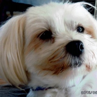 ずっと一緒にいたかったのですが…