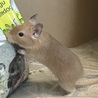 の写真