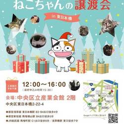 ねこざんまい譲渡会@東日本橋