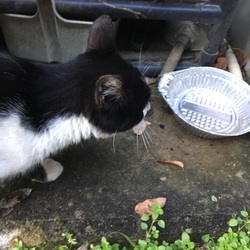 「大変です！！！」サムネイル1