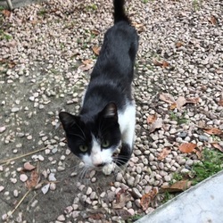 「大変です！！！」サムネイル2