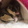 素敵なご縁ありがとうございました
