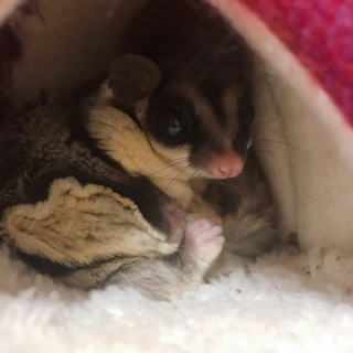 素敵なご縁ありがとうございました