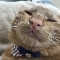 みらい