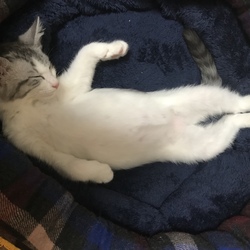 大きくなったね♡