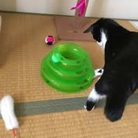 ジャズ