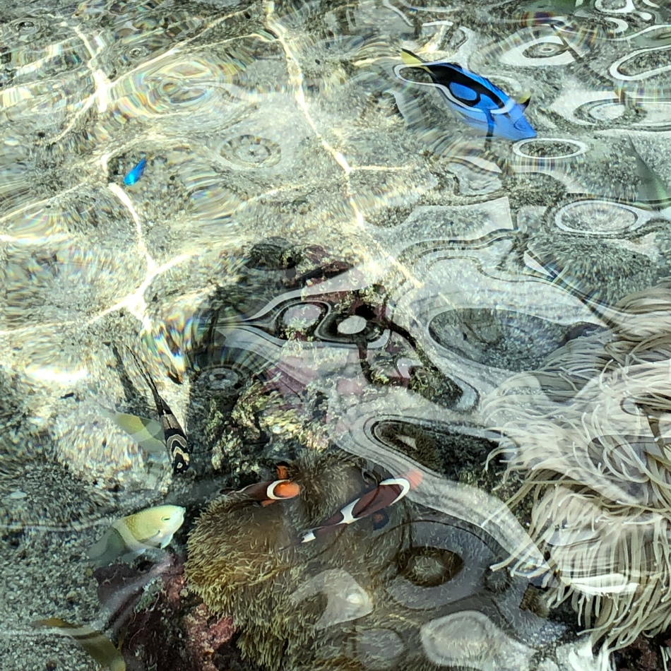 麦のカバー写真