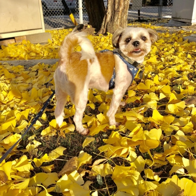ひろフのカバー写真