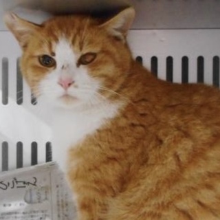 愛護団体様が引き出して下さいました。