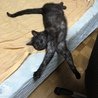 の写真