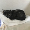 の写真