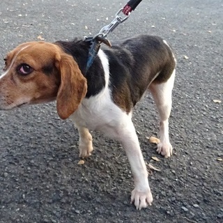 譲渡されました！！