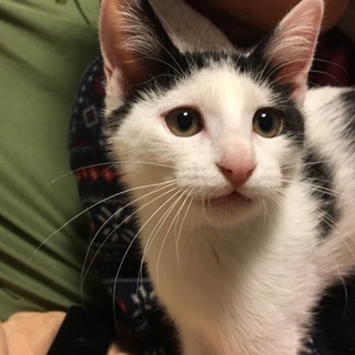 トライアル決定♡5ヶ月くらい☆浦太郎