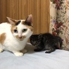 いつか譲渡した時の事を考えて…思い出に(^^)