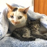 イリマママと一緒に。